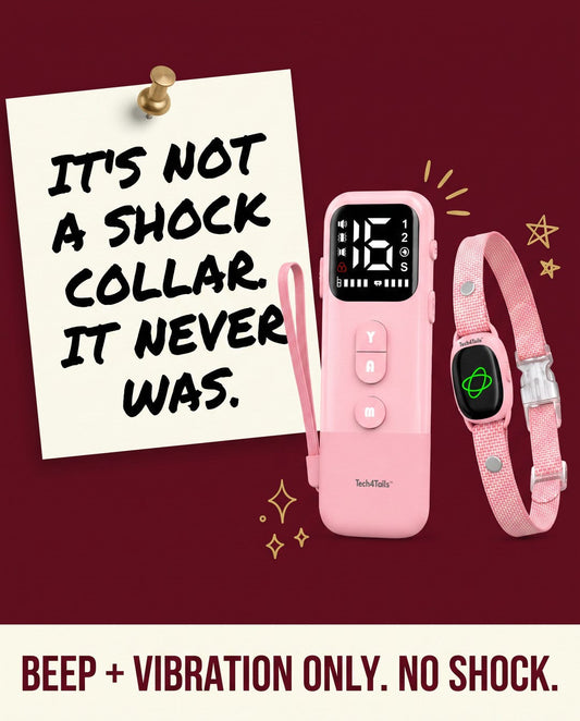 Your Bark Collar Can Train More Than Just Barking
