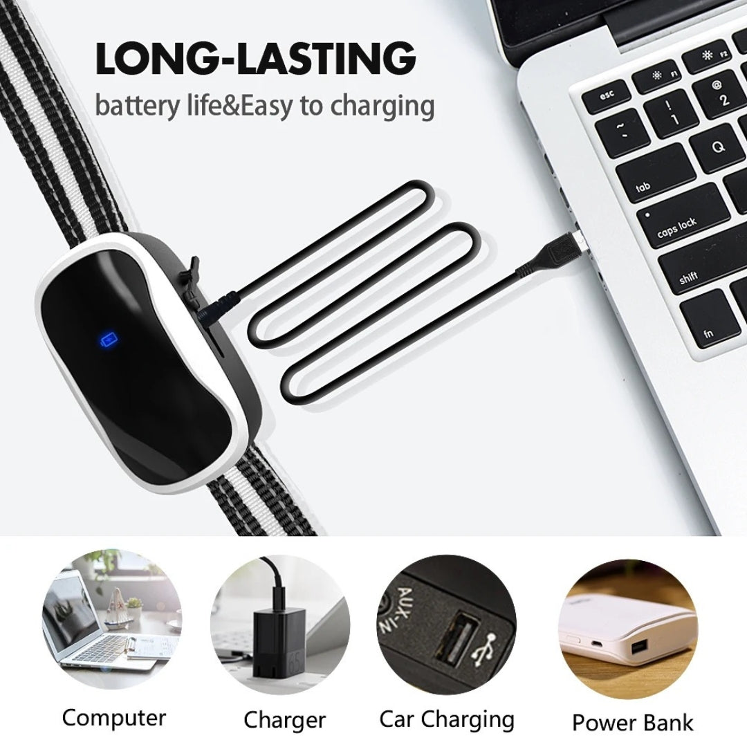 Bark Collar with LED Light