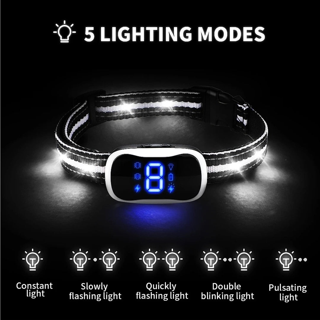 Bark Collar with LED Light