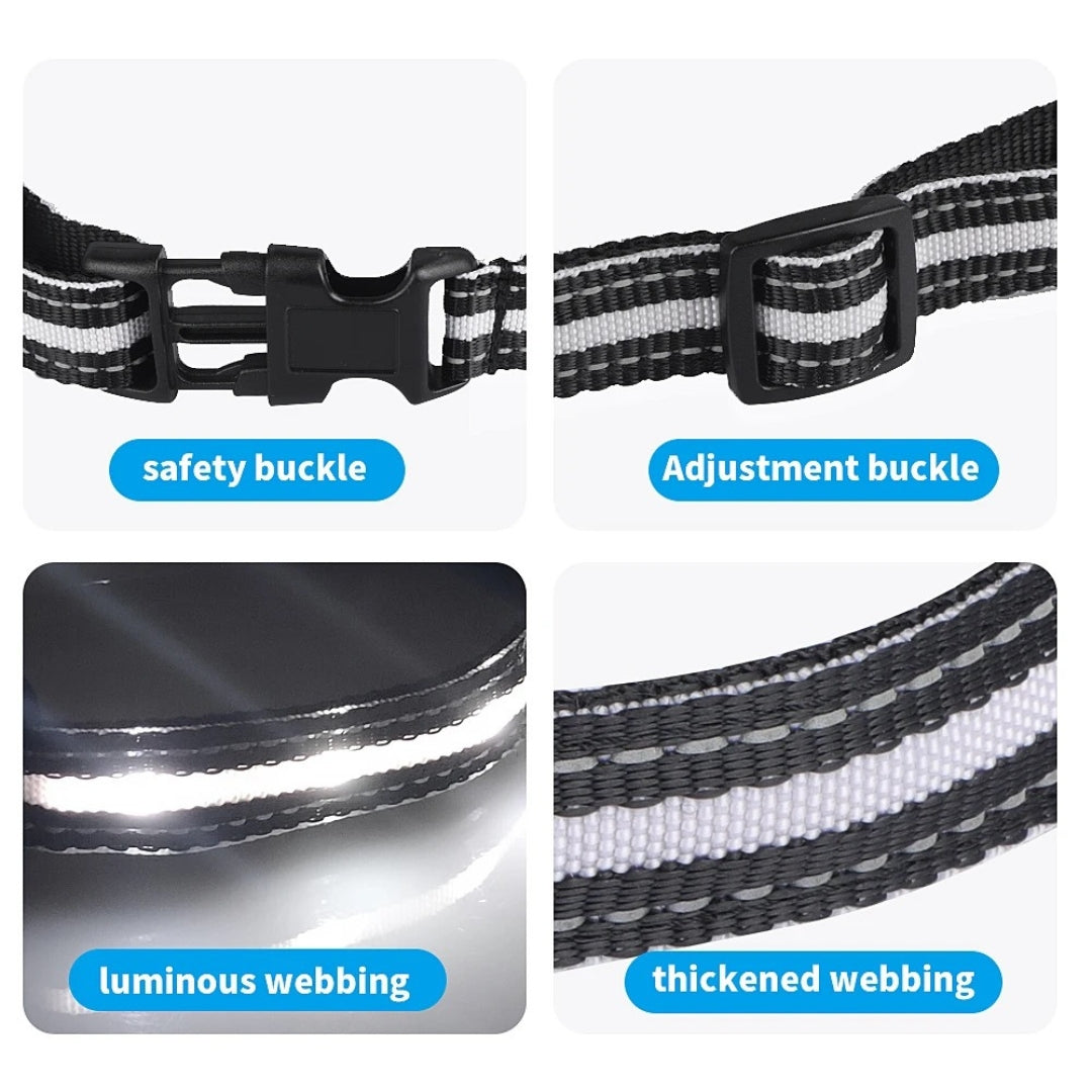 Bark Collar with LED Light