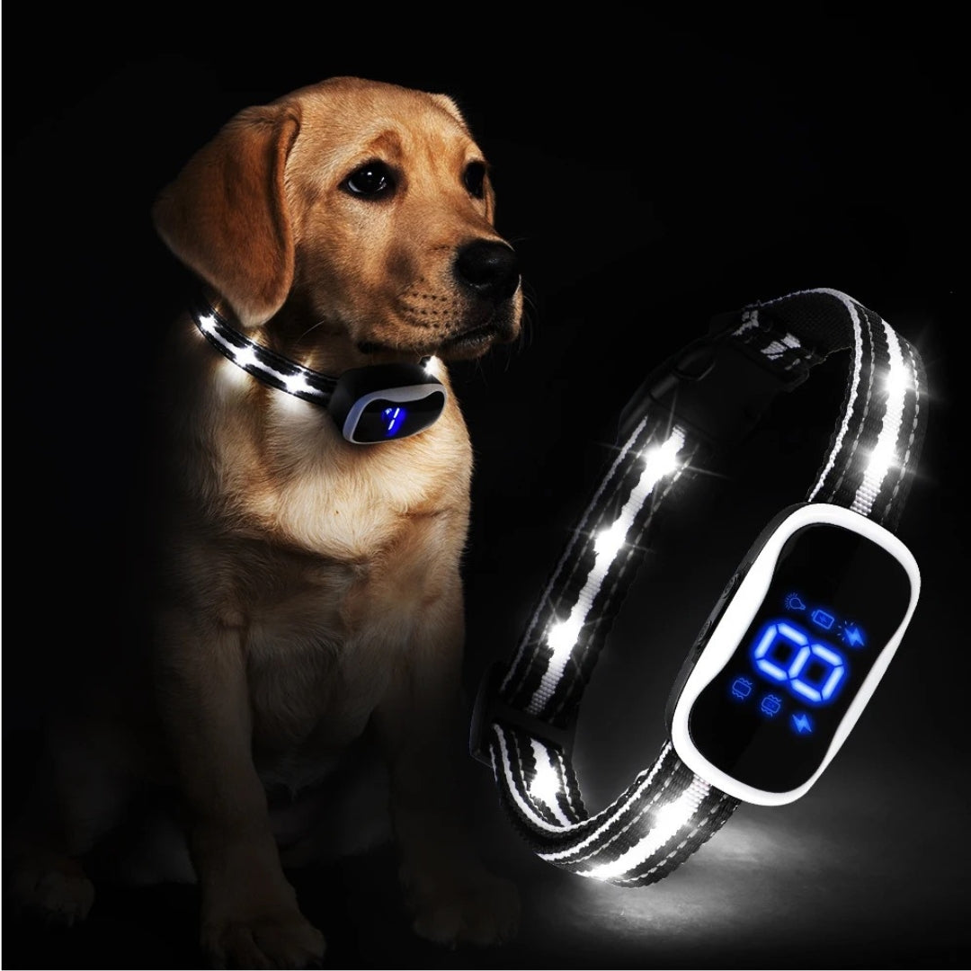 Bark Collar with LED Light