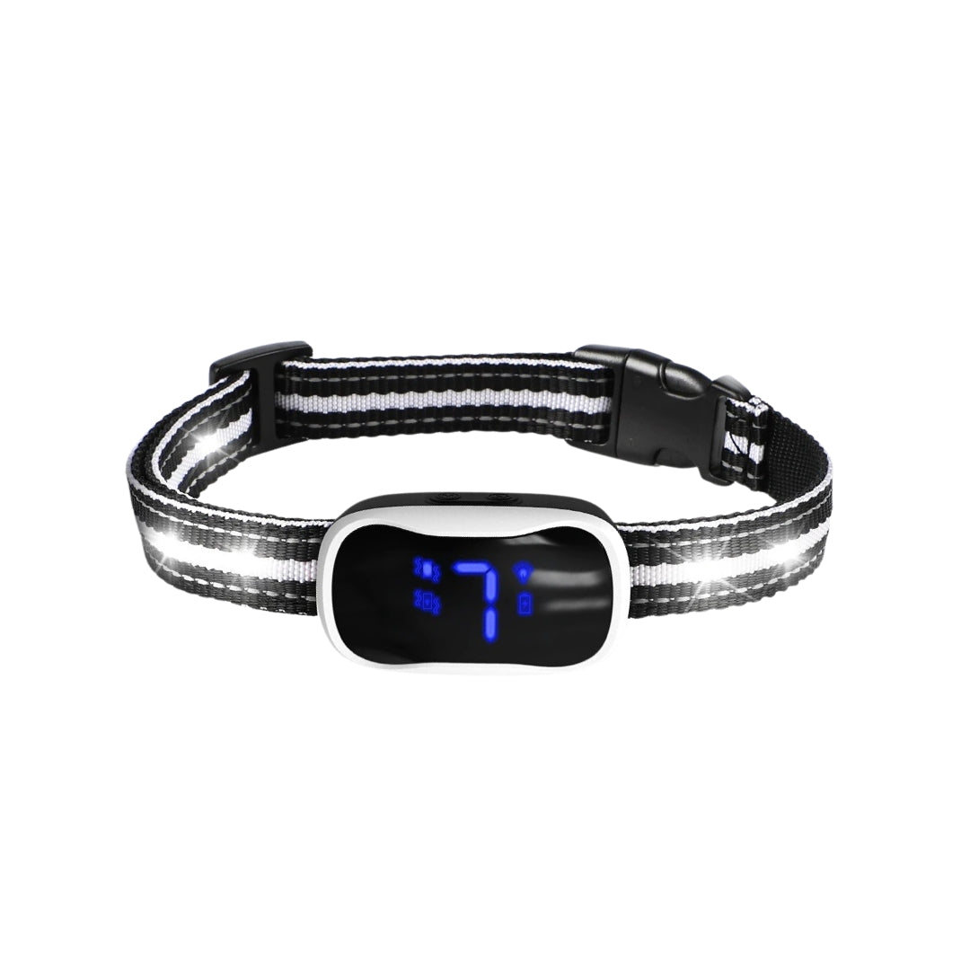 Bark Collar with LED Light